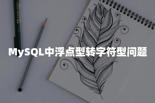 MySQL中浮点型转字符型问题