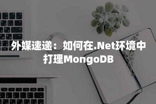 外媒速递：如何在.Net环境中打理MongoDB