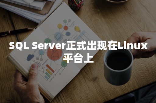 ***正式出现在Linux平台上