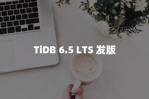 TiDB 6.5 LTS 发版