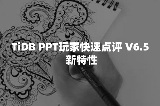 TiDB PPT玩家快速点评 V6.5 新特性