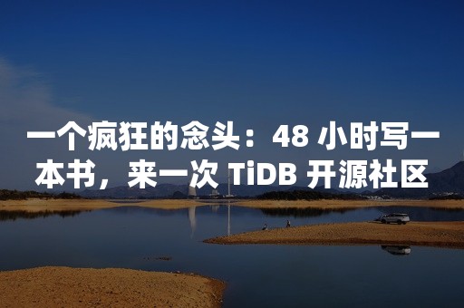 一个疯狂的念头：48 小时写一本书，来一次 TiDB 开源社区的行为艺术