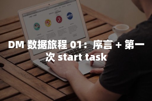 DM 数据旅程 01：序言 + 第一次 start task