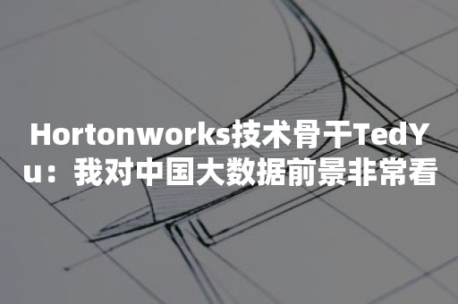 Hortonworks技术骨干TedYu：我对中国大数据前景非常看好