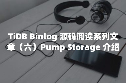 TiDB Binlog 源码阅读系列文章（六）Pump Storage 介绍（下）平凯星辰