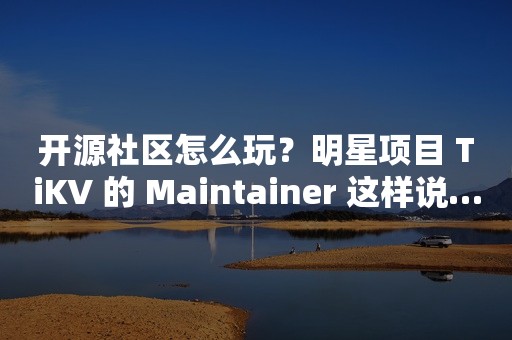 开源社区怎么玩？明星项目 TiKV 的 Maintainer 这样说……