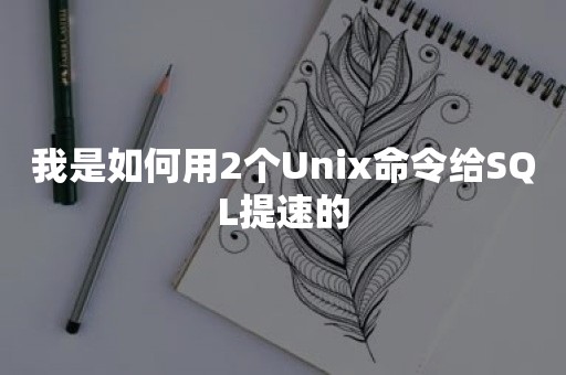 我是如何用2个Unix命令给SQL提速的