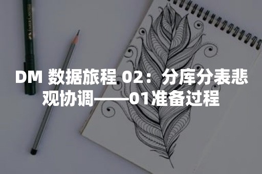 DM 数据旅程 02：分库分表悲观协调——01准备过程