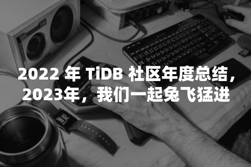 2022 年 TiDB 社区年度总结，2023年，我们一起兔飞猛进