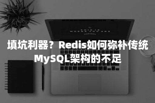 填坑利器？Redis如何弥补传统MySQL架构的不足