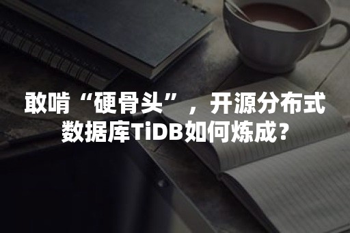 敢啃“硬骨头”，开源分布式数据库TiDB如何炼成？