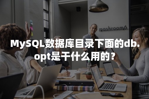 MySQL数据库目录下面的db.opt是干什么用的？