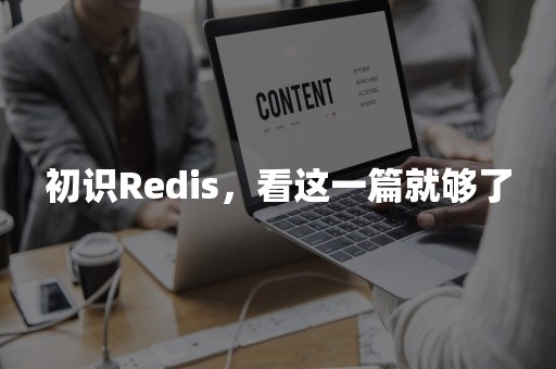 初识Redis，看这一篇就够了