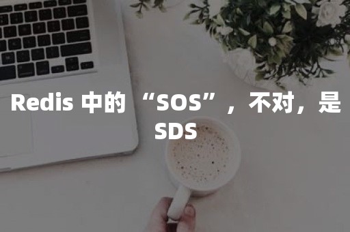 Redis 中的 “SOS”，不对，是SDS