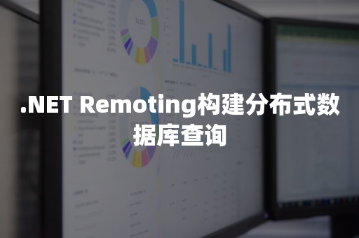 .NET Remoting构建分布式数据库查询