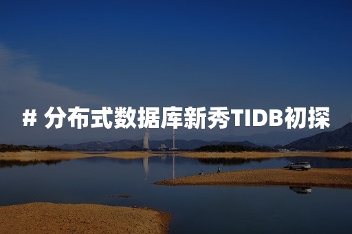# 分布式数据库新秀TIDB初探