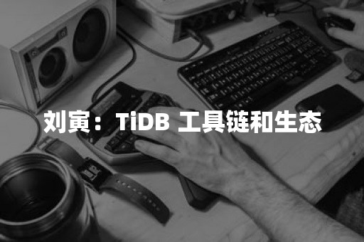 刘寅：TiDB 工具链和生态