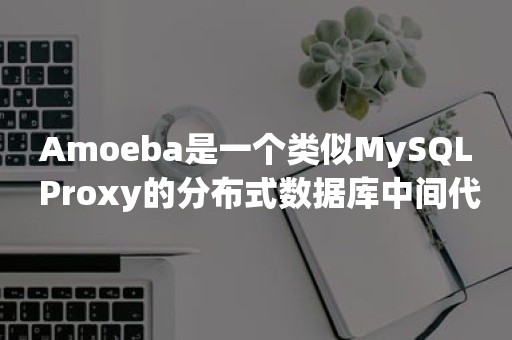 Amoeba是一个类似MySQL Proxy的分布式数据库中间代理层软件，是由陈思儒开发的一个开源的java项目