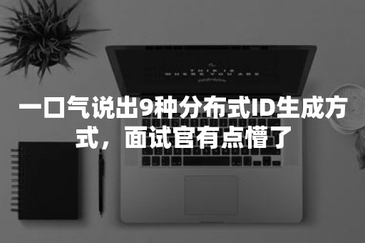 一口气说出9种分布式ID生成方式，面试官有点懵了