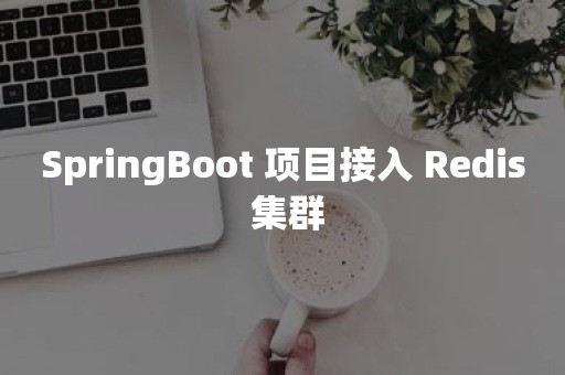 SpringBoot 项目接入 Redis 集群