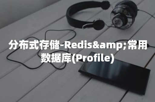 分布式存储-Redis&常用数据库(Profile)