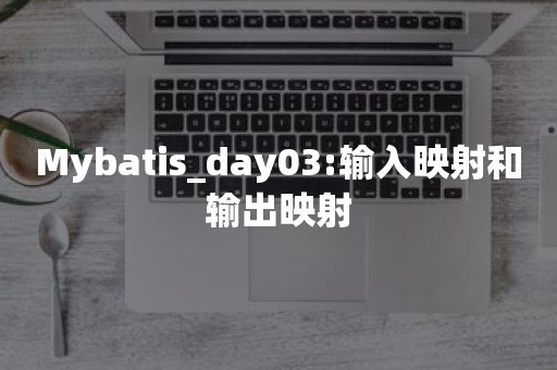 Mybatis_day03:输入映射和输出映射