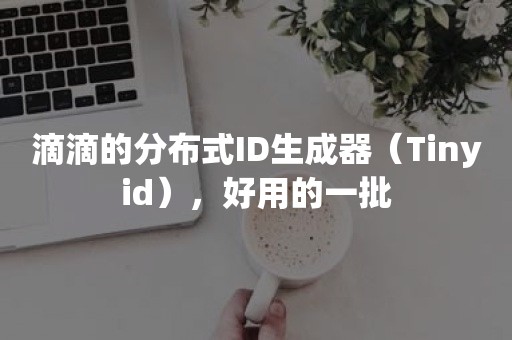 滴滴的分布式ID生成器（Tinyid），好用的一批