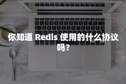 你知道 Redis 使用的什么协议吗？