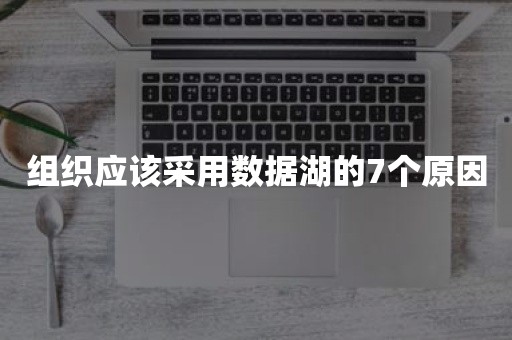 组织应该采用数据湖的7个原因