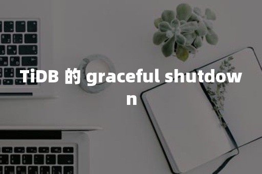 TiDB 的 graceful shutdown