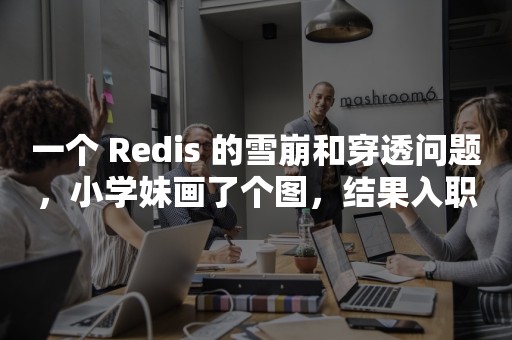 一个 Redis 的雪崩和穿透问题，小学妹画了个图，结果入职了