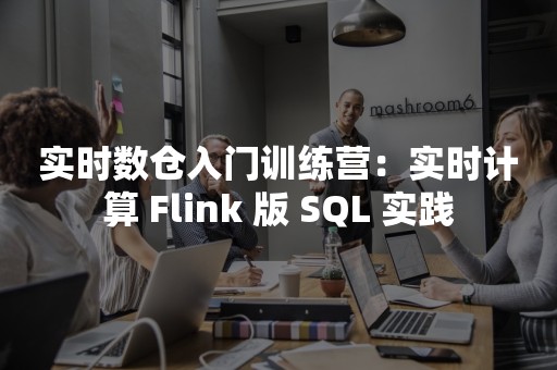 实时数仓入门训练营：实时计算 Flink 版 SQL 实践