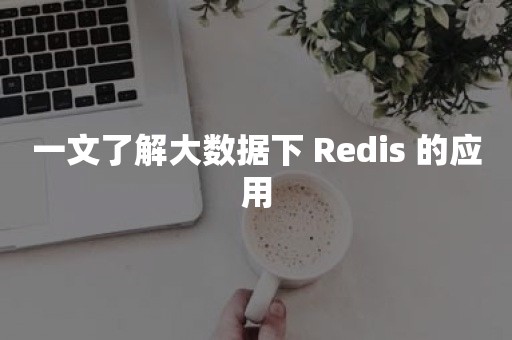 一文了解大数据下 Redis 的应用