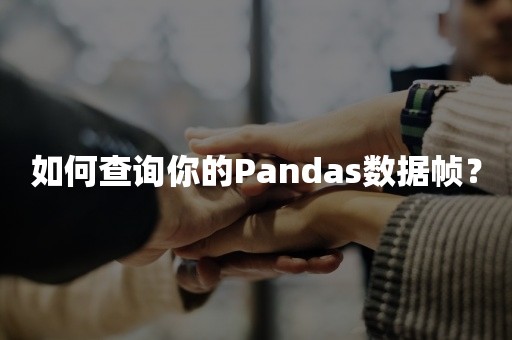 如何查询你的Pandas数据帧？