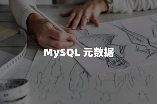 MySQL 元数据