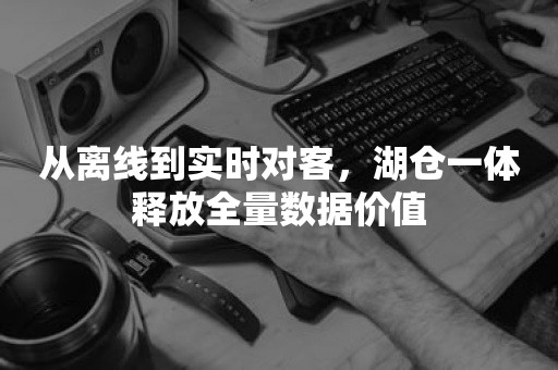 从离线到实时对客，湖仓一体释放全量数据价值