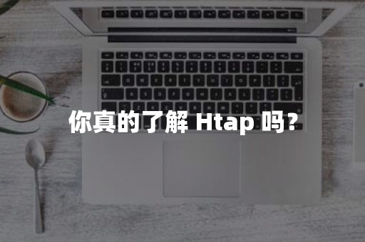 你真的了解 Htap 吗？