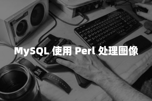 MySQL 使用 Perl 处理图像
