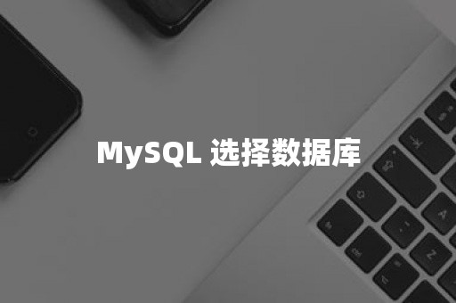 MySQL 选择数据库