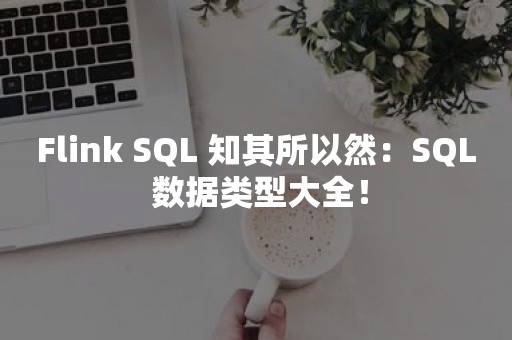 Flink SQL 知其所以然：SQL 数据类型大全！