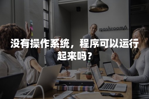 没有操作系统，程序可以运行起来吗？