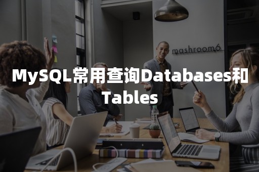 MySQL常用查询Databases和Tables