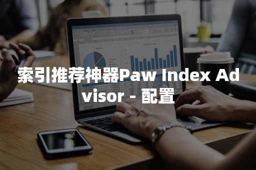 索引推荐神器Paw Index Advisor - 配置