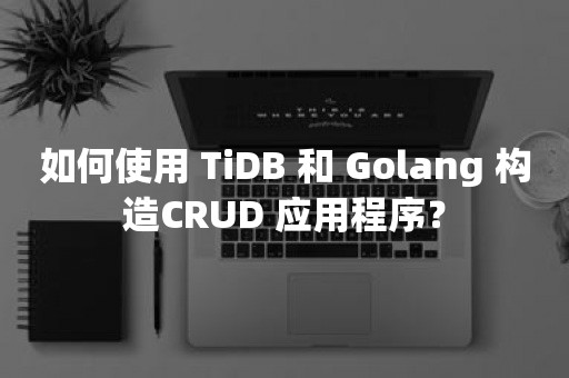 如何使用 TiDB 和 Golang 构造CRUD 应用程序？