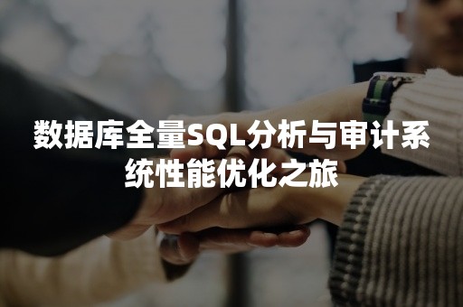 数据库全量SQL分析与审计系统性能优化之旅