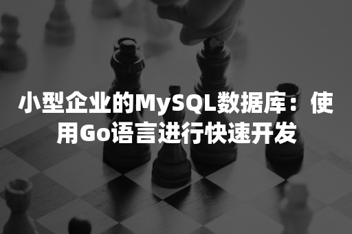 小型企业的MySQL数据库：使用Go语言进行快速开发