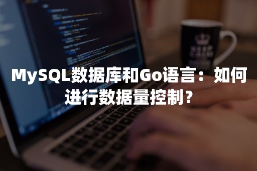 MySQL数据库和Go语言：如何进行数据量控制？