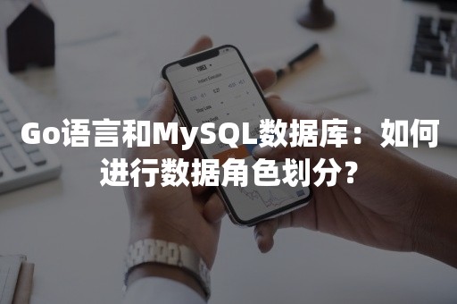 Go语言和MySQL数据库：如何进行数据角色划分？