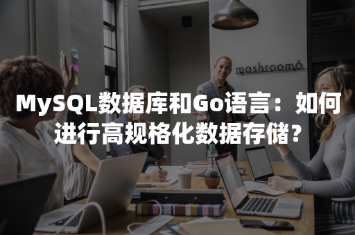 MySQL数据库和Go语言：如何进行高规格化数据存储？