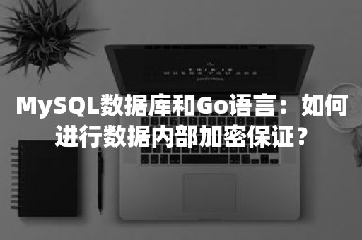 MySQL数据库和Go语言：如何进行数据内部加密保证？